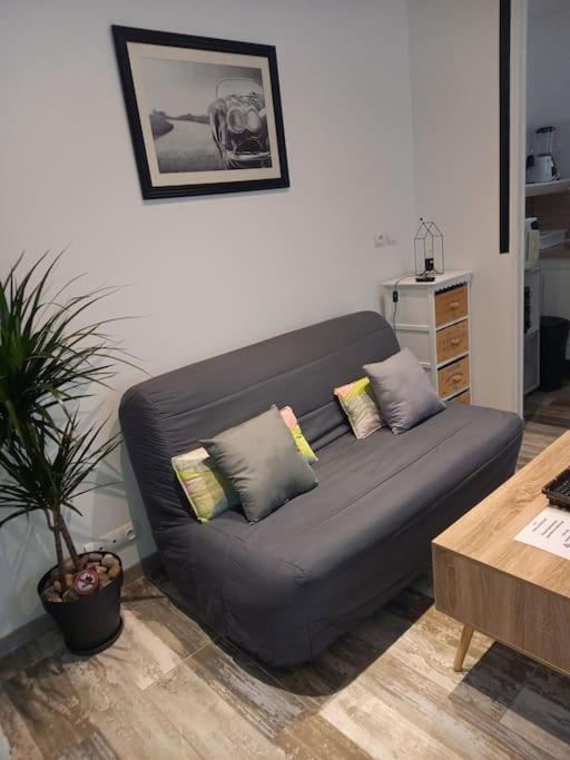 Cosy T2, Meuble De Tourisme 3 Etoiles, Parking Ferme , 2Velos, Wi-Fi Narbonne Exterior photo